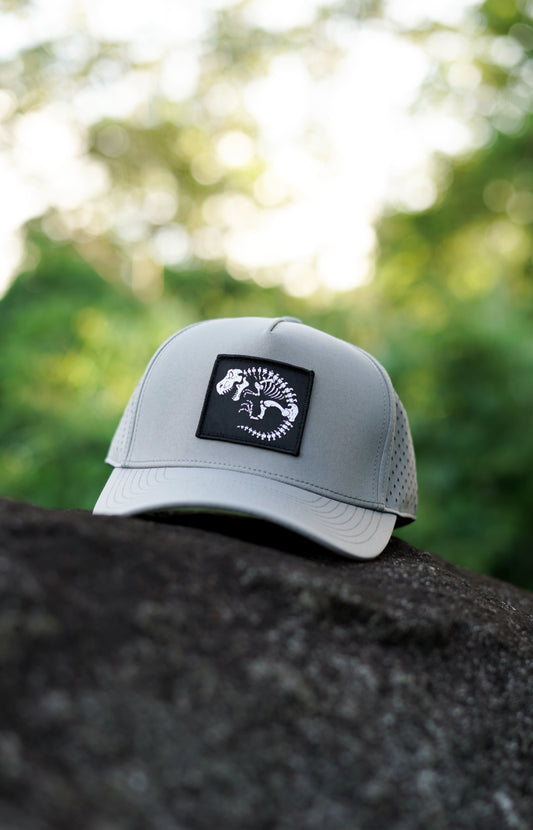 Fossil Gray